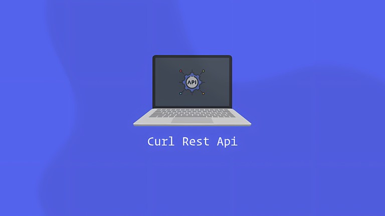 Using curl to make REST API requests from the command line