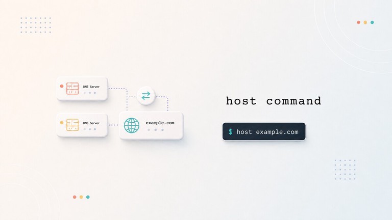 Running DNS lookups with the host command in a Linux terminal