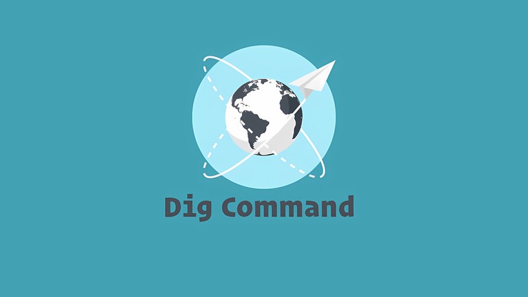 Dig command querying DNS records in a Linux terminal
