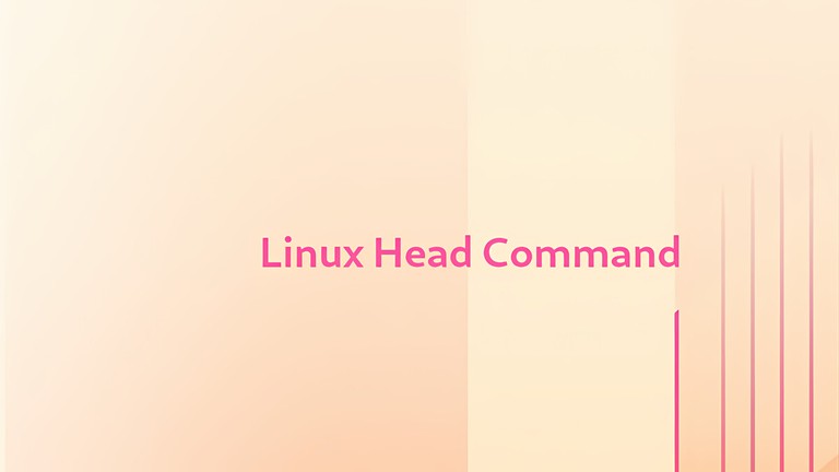Using the head command in Linux to display the first lines of a file
