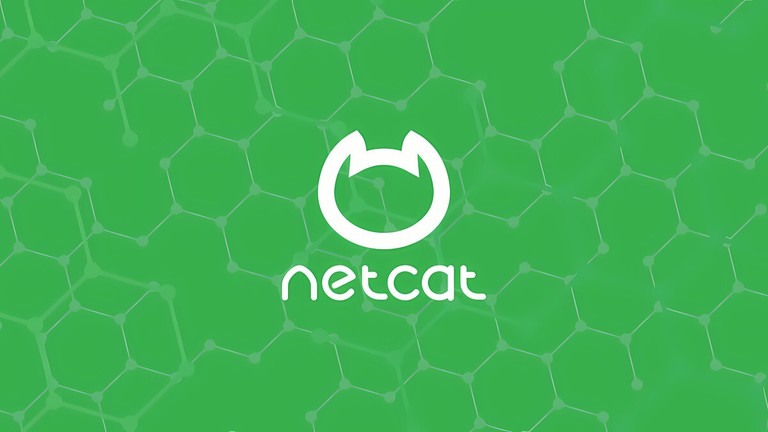 Netcat nc Command