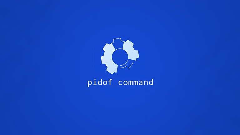 Linux pidof