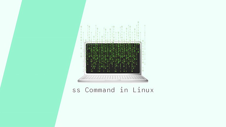 Using the ss command to display socket statistics in Linux