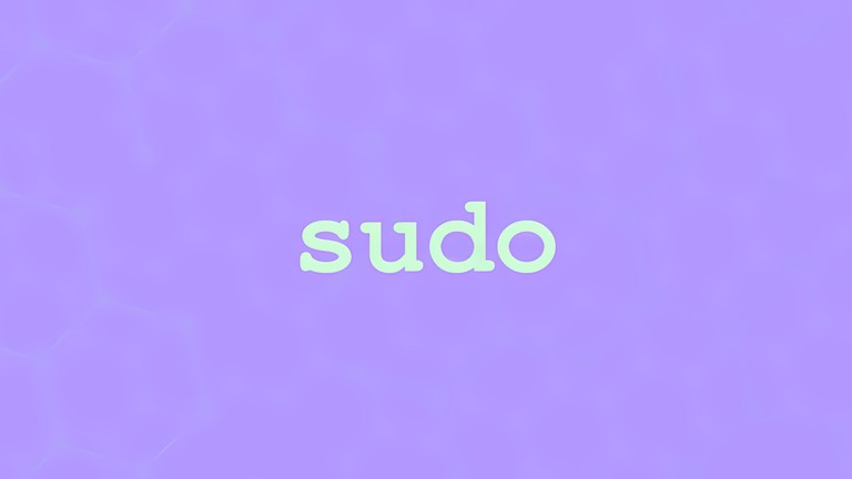 Linux sudo command running a command as root in a terminal